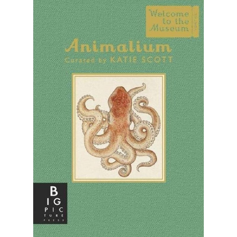 Animalium (Mini Gift Edition)