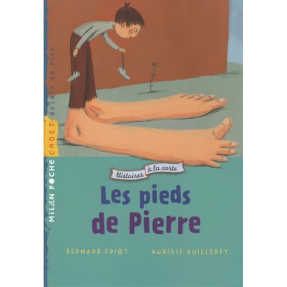 Les Pieds De Pierre image 0