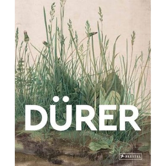 Durer image 0