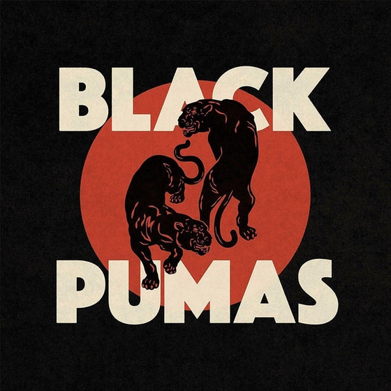 Black Pumas image 0
