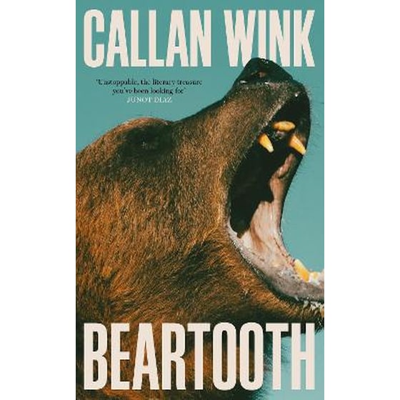 Beartooth image 0