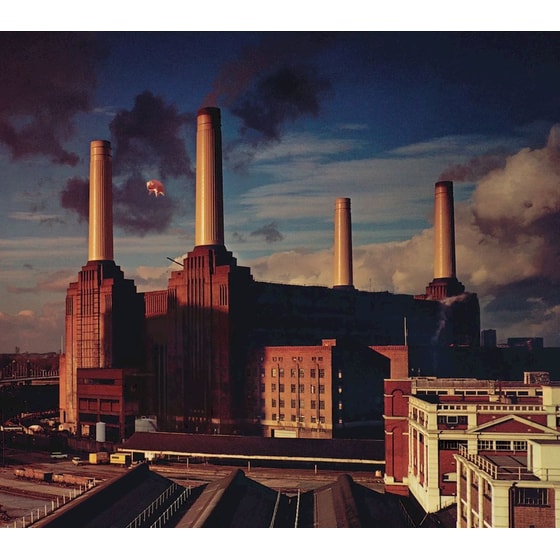Animals (LP) image 0