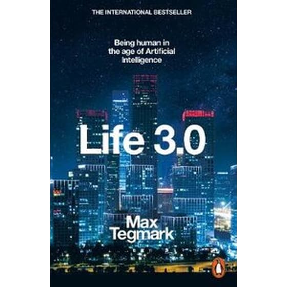 Life 3.0 image 0
