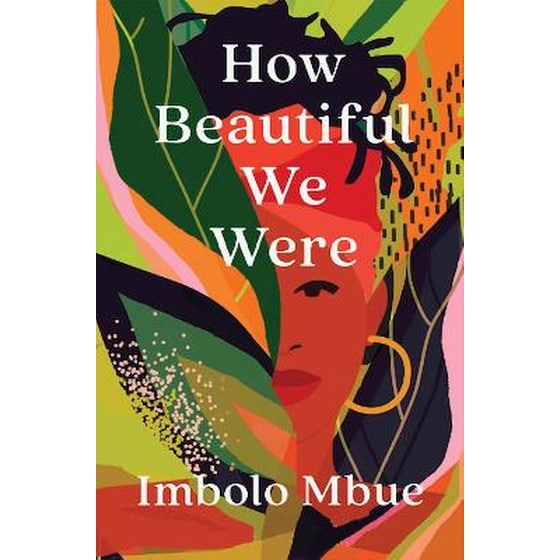How Beautiful We Were image 0