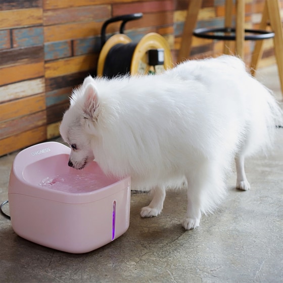 Ποτίστρα Για Σκύλο - Ροζ image 2