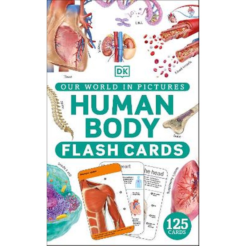 Our World in Pictures Human Body Flash Cards