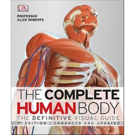 Complete Human Body image 0