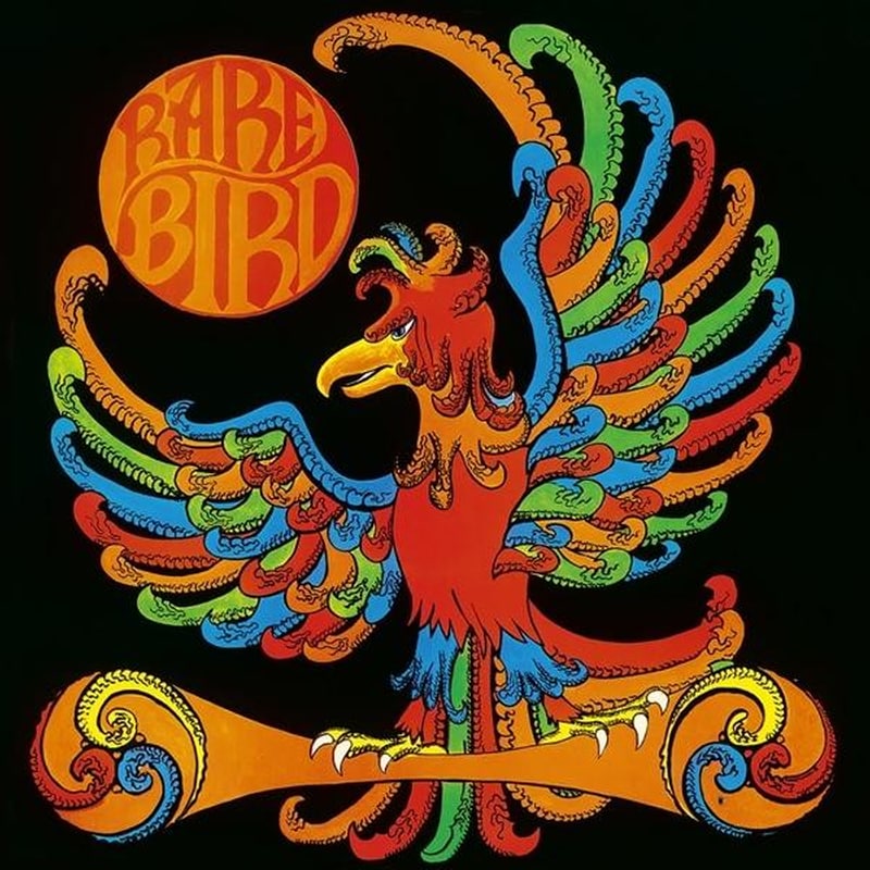 Rare Bird
