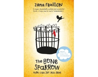 Bone Sparrow image 0