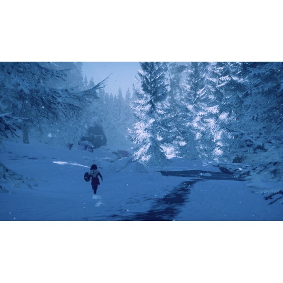 Skabma: Snowfall - PS5 image 14