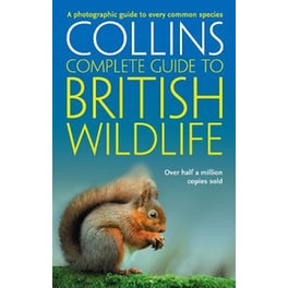 British Wildlife