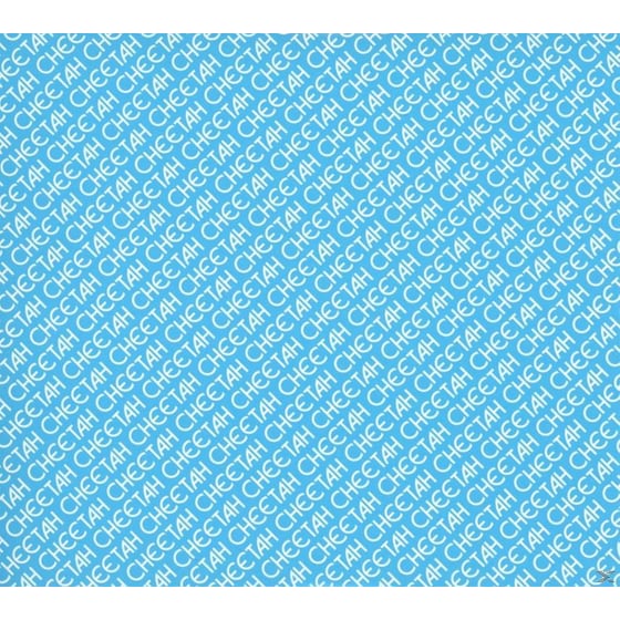 Cheetah - Ep image 2