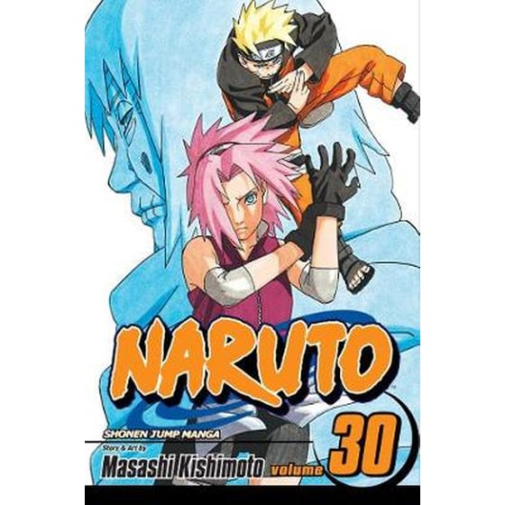 Naruto, Vol. 30 image 0