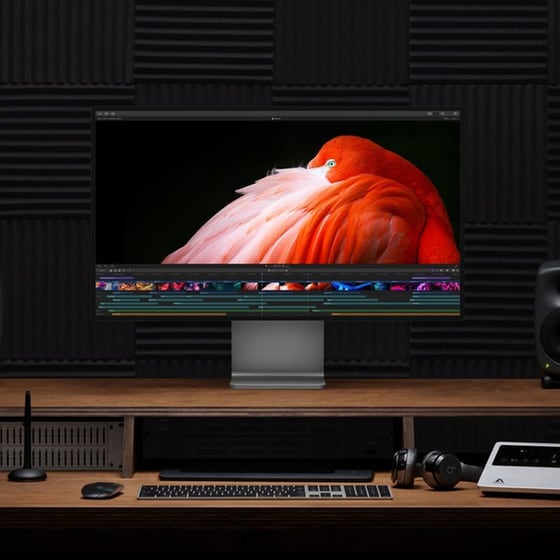 Apple Pro Display XDR MYLJ3GU/A Monitor 32'' 6K UHD Retina Flat 60Hz image 5