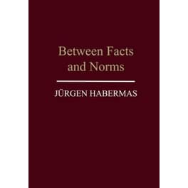 Between Facts and Norms