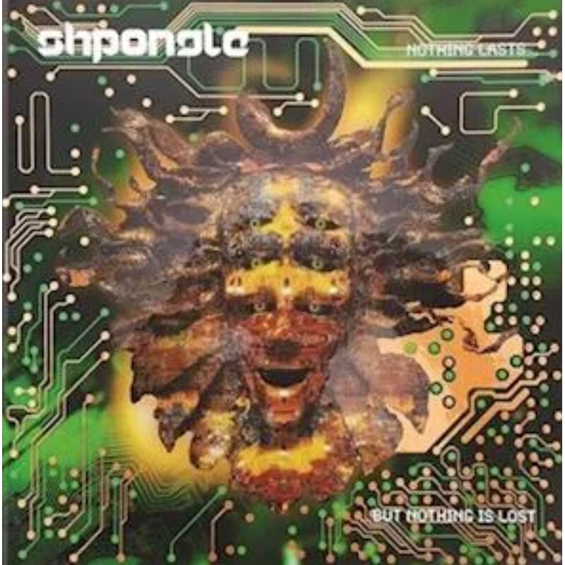 Nothing Lasts…But Nothing Is Lost (2 LP)