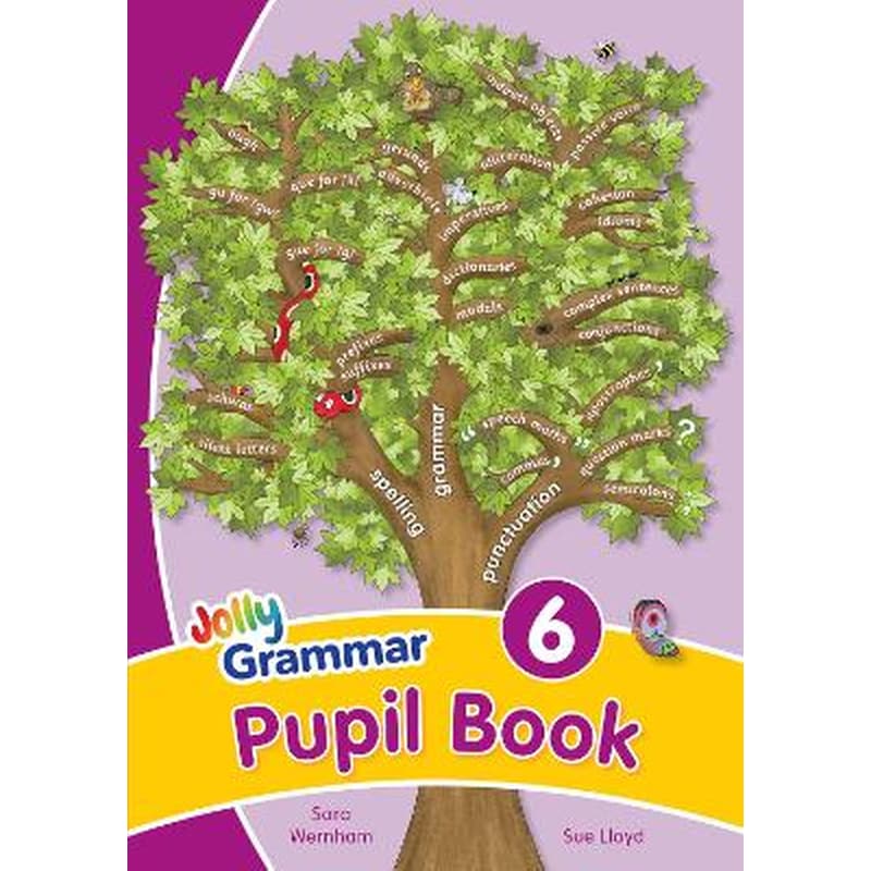 Grammar 6 Pupil Book