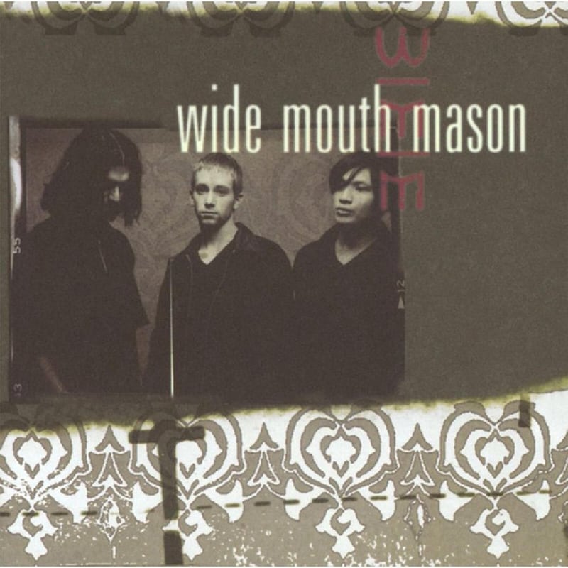 Wide Mouth Mason (LP)
