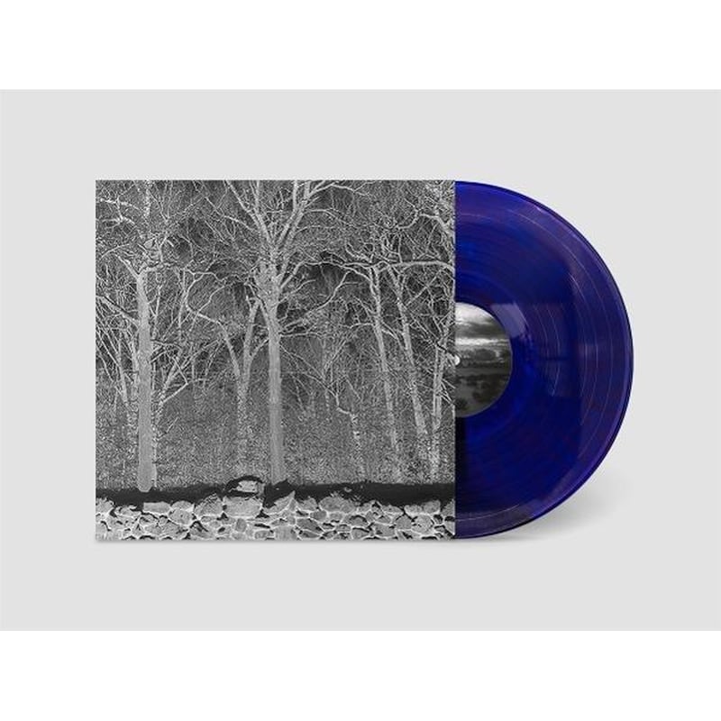 Sunshine And Balance Beams (Transparent Col Vinyl)