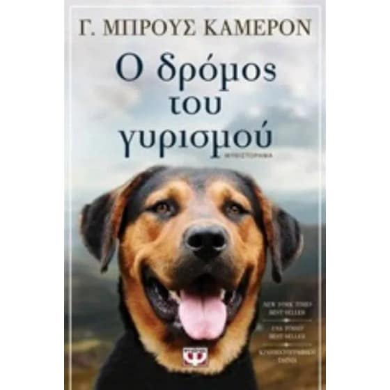 Ο δρόμος του γυρισμού image 0