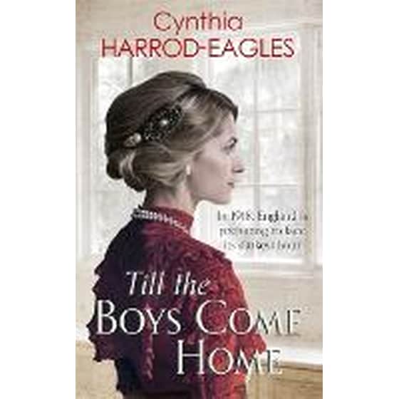 Till the Boys Come Home image 0