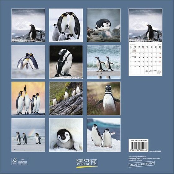 Ημερολόγιο Τοίχου 2025 Pinguine image 13