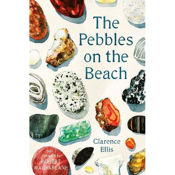 Pebbles on the Beach image 0