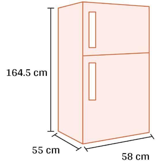 DAVOLINE NPR 163 SLV 248 Lt Ασημί Δίπορτο Ψυγείο image 2