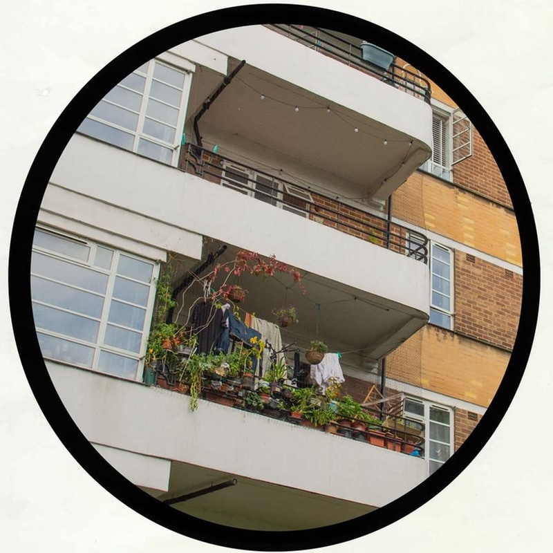 Southside Summer / Wooly Road Creep / Love Life / Lost