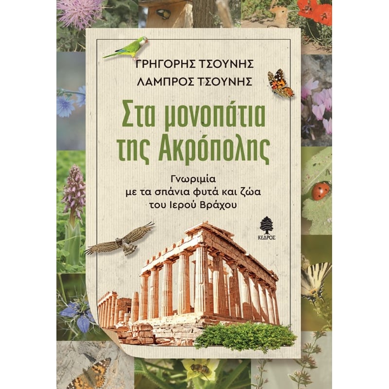 Στα μονοπάτια της Ακρόπολης