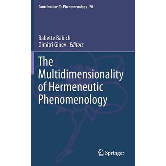 Multidimensionality of Hermeneutic Phenomenology image 0