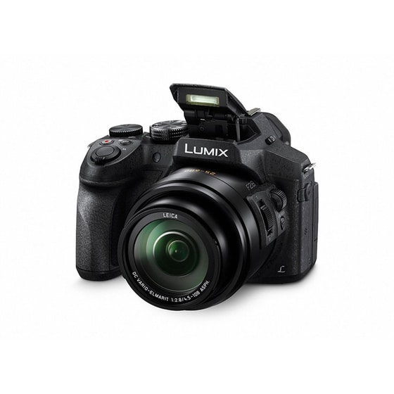 PANASONIC Lumix DMC-FZ300 image 2