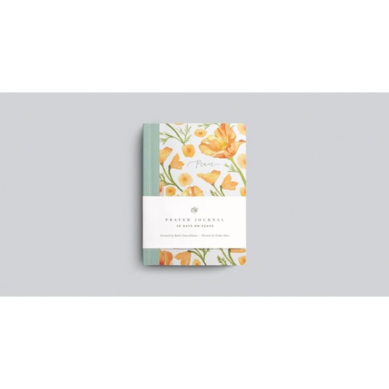 ESV Prayer Journal image 1