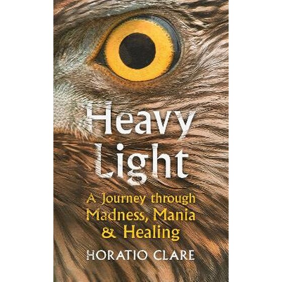 Heavy Light image 0