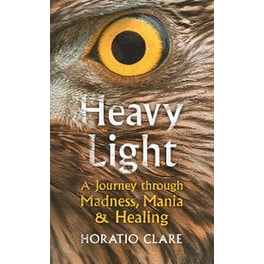 Heavy Light