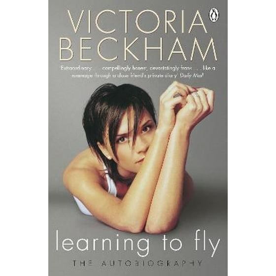 Learning to Fly image 0