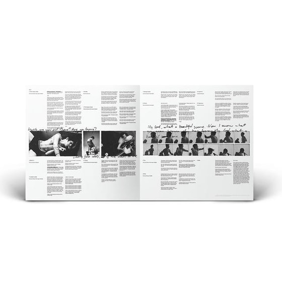 Idols (LP) image 5