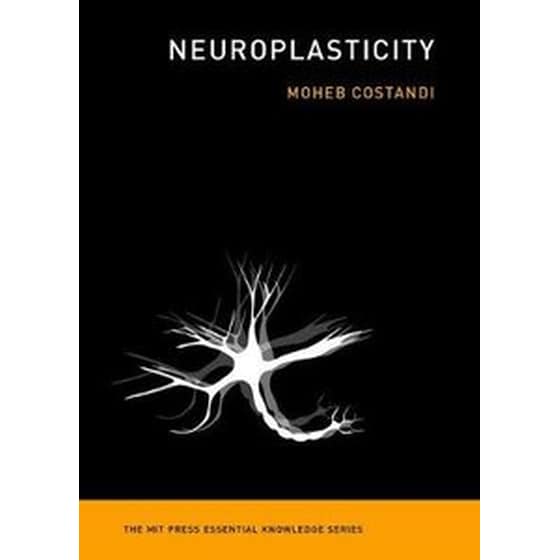 Neuroplasticity image 0