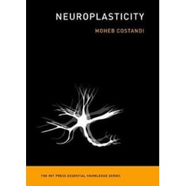 Neuroplasticity
