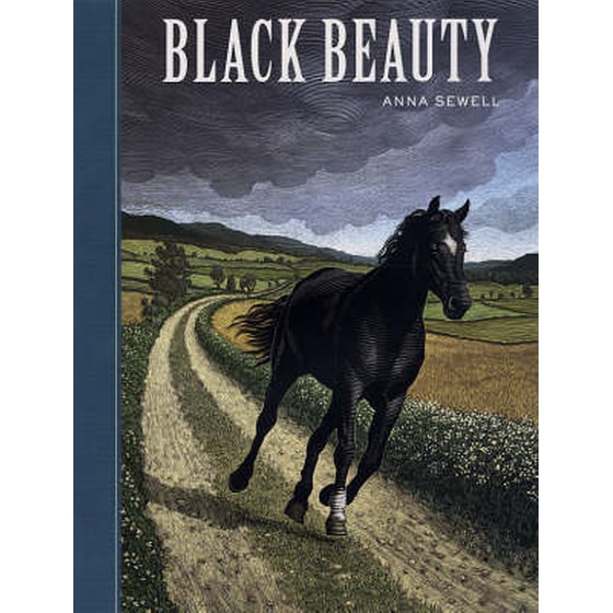 Black Beauty image 0