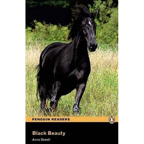 Pr 2- Black Beauty image 0