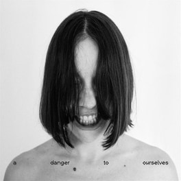 A Danger To Ourselves (LP)