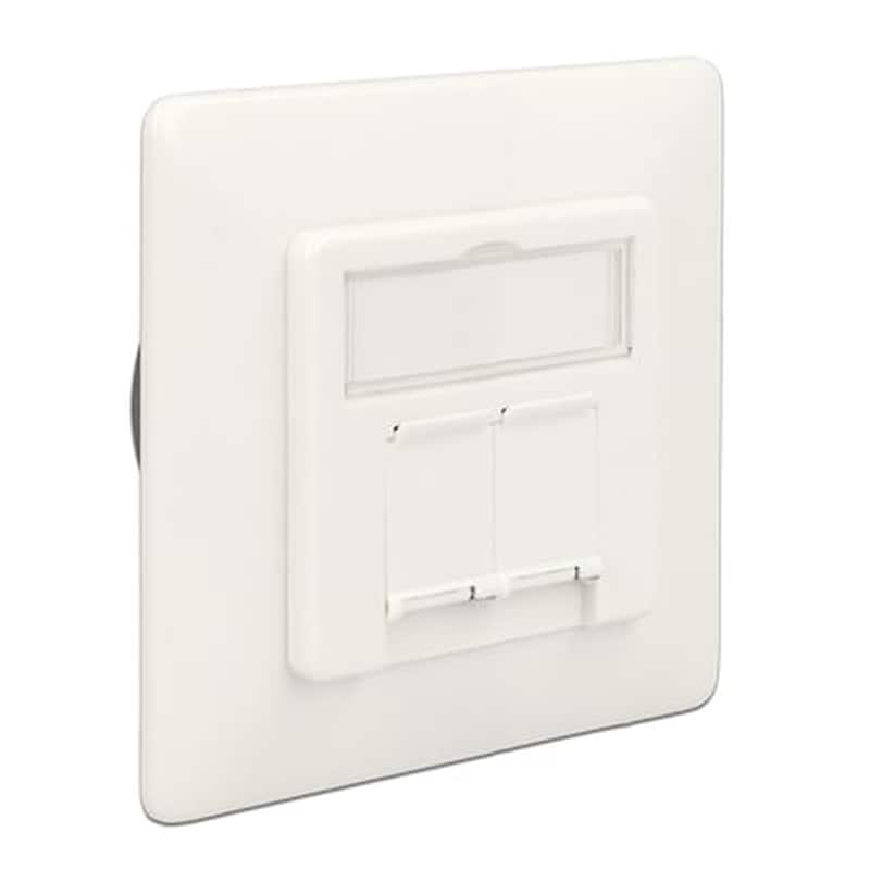 Delock Modular Wall Outlet Δικτύου, Cat.6a, 2x Lsa, 2 Port
