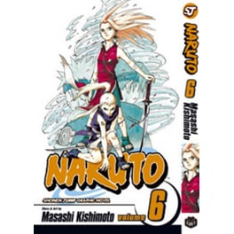 Naruto, Vol. 6