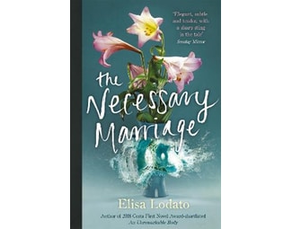 Necessary Marriage image 0