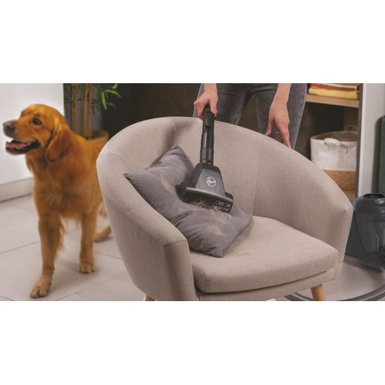 HOOVER HP321PAF 011 850 W με Κάδο 2 L Μαύρη Ηλεκτρική Σκούπα image 3