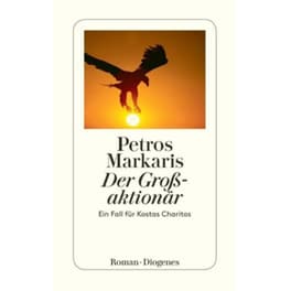 Der Grossaktionär
