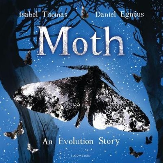 Moth image 0