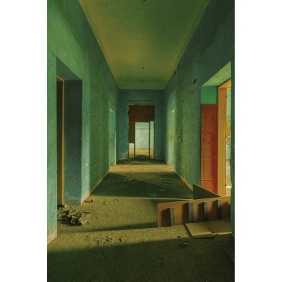 Genius of the Place: Al Saggaf Palace image 0