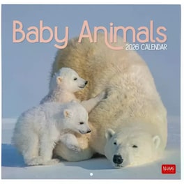Ημερολόγιο Τοίχου Legami 2026 Baby Animals 30x29cm